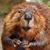 Dave Armstrong's profile image