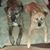 Amy Schneider's profile image