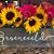 Patty Mahon Groeneveld's profile image
