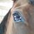 Susan G. Bednar's profile image