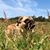 Jackie Cudmore's profile image