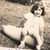 Tina Fernandez Steckler's profile image