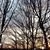 Judy Huyck Shaull's profile image
