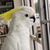 Daisy Jackson's profile image