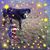 Migosh Higgins's profile image
