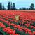 Catherine Taylor Christenson's profile image