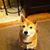 Earl Kozak's profile image