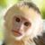 Terry Krymkowski Donia's profile image