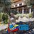 Margarita Paredes's profile image