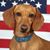 Becky Bishop Nichols's profile image