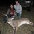 Lauren LaBruzza's profile image