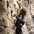 Cindy Embrey's profile image