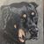 Matt Laveck's profile image