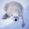 Diego Rufo's profile image