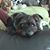 Sheri Hess's profile image