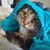 Zachary L. Macklin's profile image