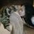 Ayank Lea Hmd's profile image
