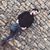 Akoo O. Sallih's profile image