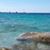 Kimberly Stogner's profile image