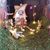 Patti Dobish's profile image