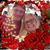 Donna Lee Chambers-Reifschneider's profile image