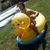 Devin Tribble's profile image