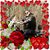 Debbie Whisenant's profile image