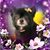 Randy Adam's profile image