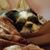 Toni J Lamanna's profile image