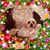 Barb Leedy's profile image