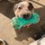 Terri Balbi's profile image