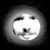 Jakub Ostrowski's profile image