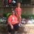 Dawn McMillen's profile image