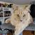 Christopher Roberts's profile image