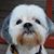 David Knight's profile image