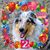 Christina Hitz's profile image