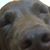 Maddie Hen's profile image