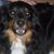 Susy Shoaf's profile image