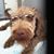 Gary E Mclean's profile image