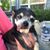 Shari Benn's profile image