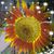 Eileen Delarche's profile image
