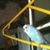 Alicia Locy Bauer's profile image