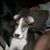 Jerry Watts's profile image
