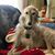 Catalina Salley's profile image