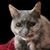 Audra Klever Witgen's profile image