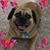 Maria Batista's profile image