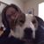 Heidi Ripke-Curcio's profile image