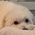 Annie Yeh's profile image