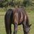 Molly Coffman's profile image