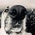 Jenny Barse's profile image